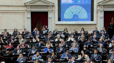 Con cambios, y amplio apoyo opositor, el Gobierno aprobó una nueva ley de Discapacidad